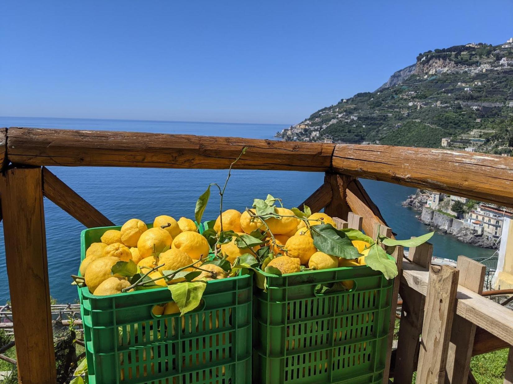 Casa Vacanze Freeholiday House Minori Kültér fotó